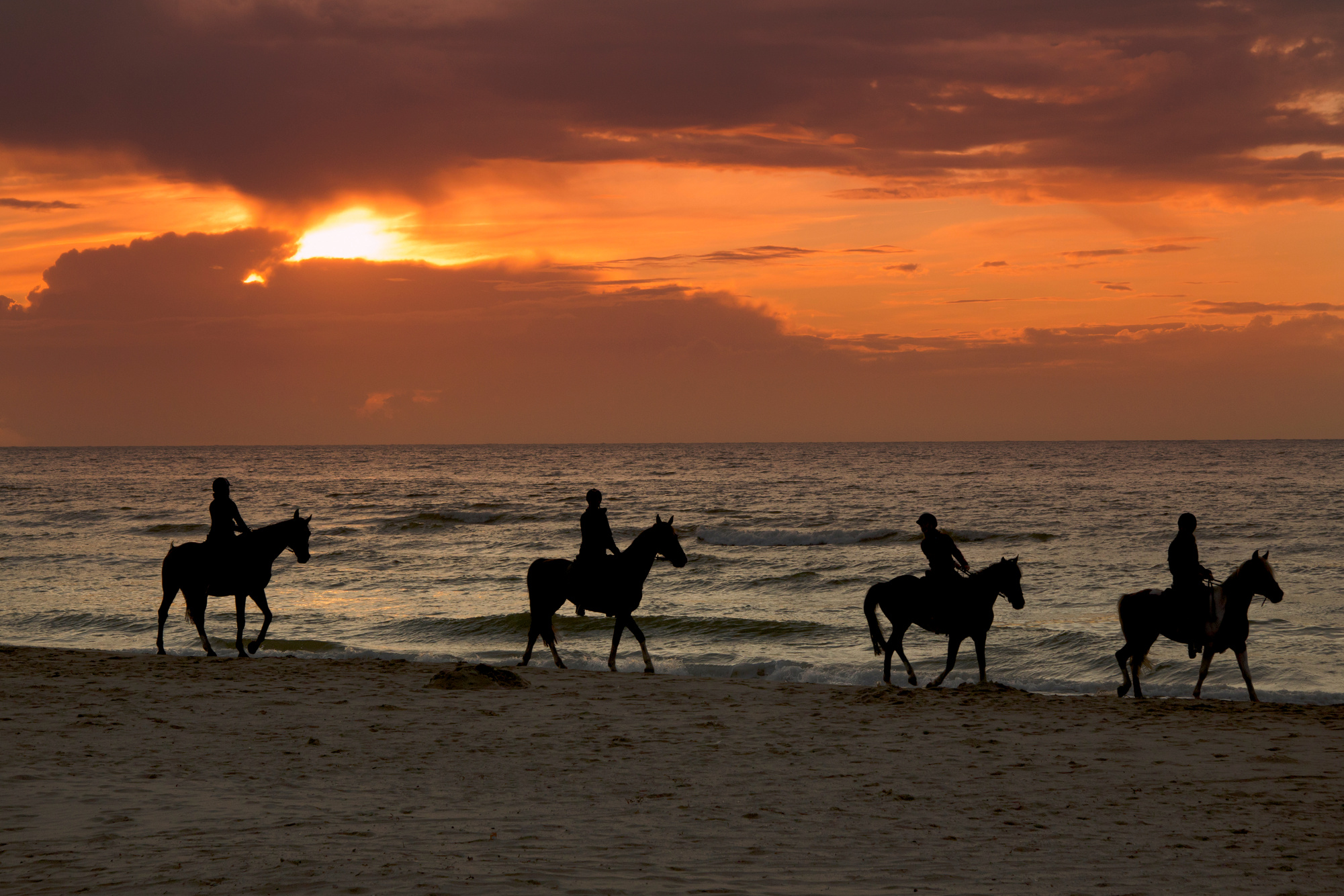 Horse riding on beach at sunset